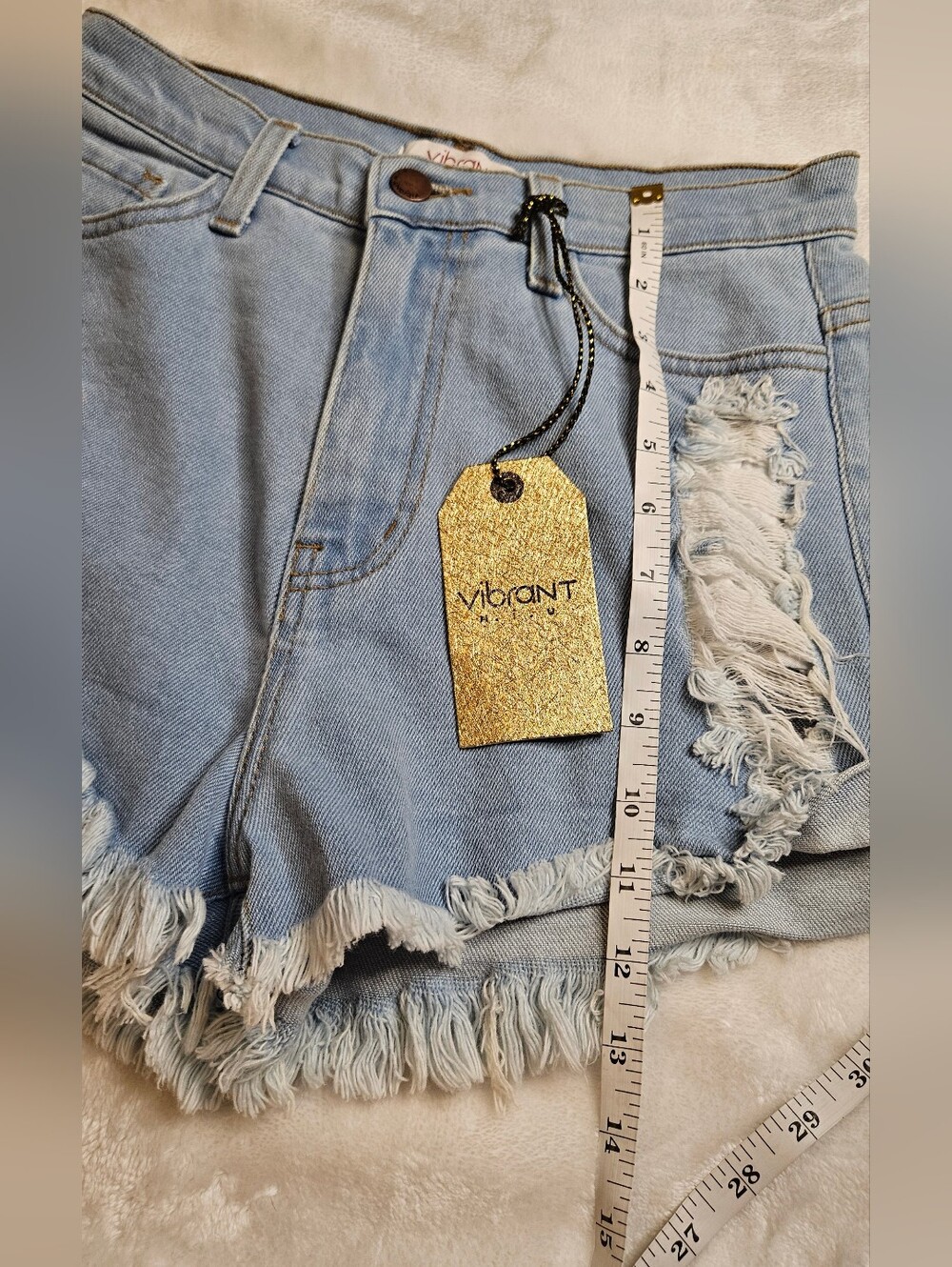 Vibrant Light Blue Denim Shorts with Red Rose Embroidery - Picture 9 of 10